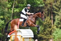 luhmuehlen-2015_cci4056-jpg