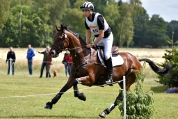 luhmuehlen-2015_cci4062-jpg