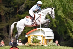 luhmuehlen-2015_cci4069-jpg