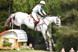 luhmuehlen-2015_cci4071-jpg