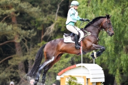 luhmuehlen-2015_cci4080-jpg