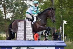 luhmuehlen-2015_cci4082-jpg