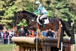 luhmuehlen-2015_cci4084-jpg