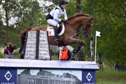 luhmuehlen-2015_cci4096