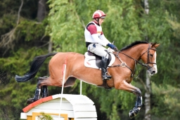 luhmuehlen-2015_cci4102