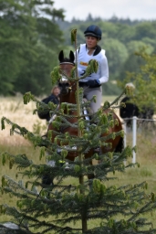 luhmuehlen-2015_cci4116