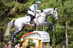 luhmuehlen-2015_cci4130