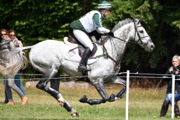 luhmuehlen-2015_cci4131