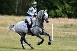 luhmuehlen-2015_cci4133