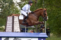 luhmuehlen-2015_cci4155