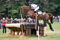 luhmuehlen-2015_cci4157