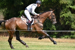 luhmuehlen-2015_cci4175
