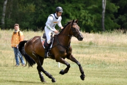 luhmuehlen-2015_cci4176