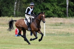 luhmuehlen-2015_cci4189