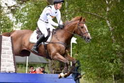 luhmuehlen-2015_cci4198