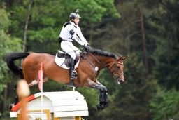 luhmuehlen-2015_cci4210