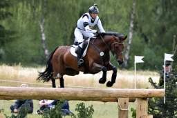 luhmuehlen-2015_cci4212