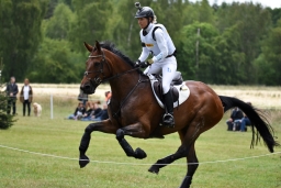luhmuehlen-2015_cci4214