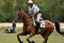 luhmuehlen-2015_cci4222