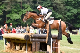luhmuehlen-2015_cci4223
