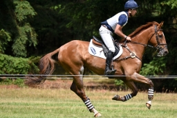 luhmuehlen-2015_cci4231
