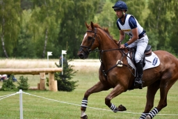 luhmuehlen-2015_cci4237