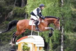 luhmuehlen-2015_cci4243