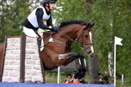 luhmuehlen-2015_cci4247