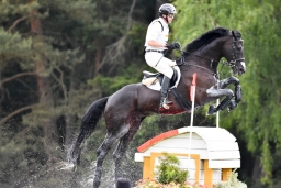 luhmuehlen-2015_cci4252