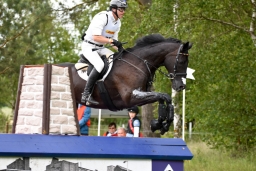 luhmuehlen-2015_cci4254