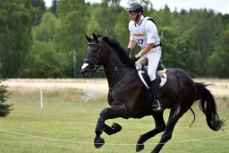 luhmuehlen-2015_cci4256