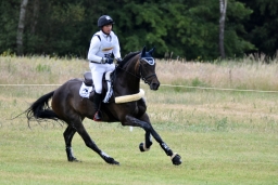 luhmuehlen-2015_cci4266