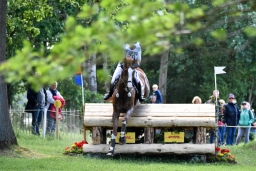 luhmuehlen-2015_cic3-064-jpg