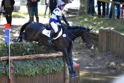 luhmuehlen-2015_cic3-075-jpg