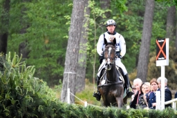 luhmuehlen-2015_cic3-009-jpg