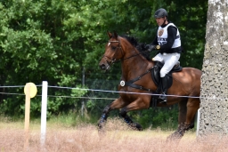 luhmuehlen-2015_cic3-017-jpg