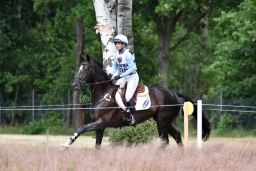 luhmuehlen-2015_cic3-020-jpg