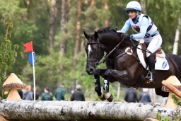 luhmuehlen-2015_cic3-021-jpg