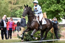 luhmuehlen-2015_cic3-022-jpg