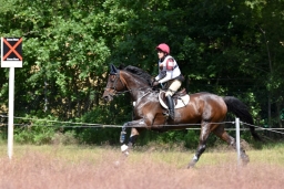 luhmuehlen-2015_cic3-027-jpg