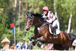 luhmuehlen-2015_cic3-028-jpg