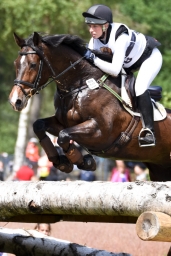 luhmuehlen-2015_cic3-035-jpg