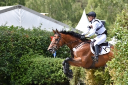 luhmuehlen-2015_cic3-044-jpg
