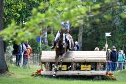 luhmuehlen-2015_cic3-064-jpg