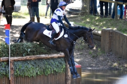 luhmuehlen-2015_cic3-075-jpg