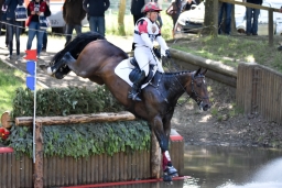 luhmuehlen-2015_cic3-080-jpg