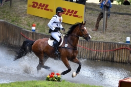 luhmuehlen-2015_cic3-086-jpg