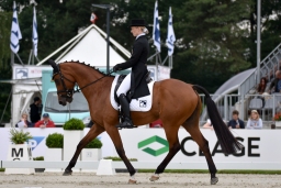 pocke-dre-luh2016-001-2-jpg