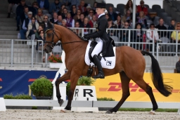 pocke-dre-luh2016-001-6-jpg