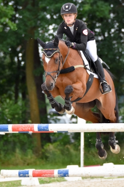 pocke-spr-luh2016-001-4-jpg